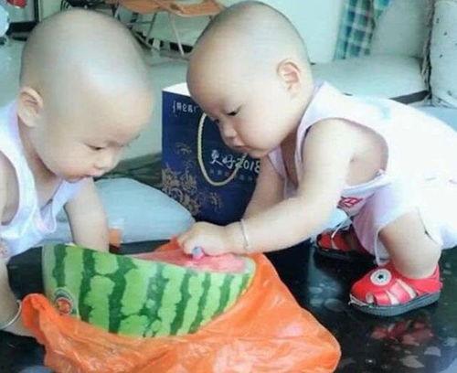 娱乐吃瓜双胞胎,揭秘娱乐圈背后的秘密